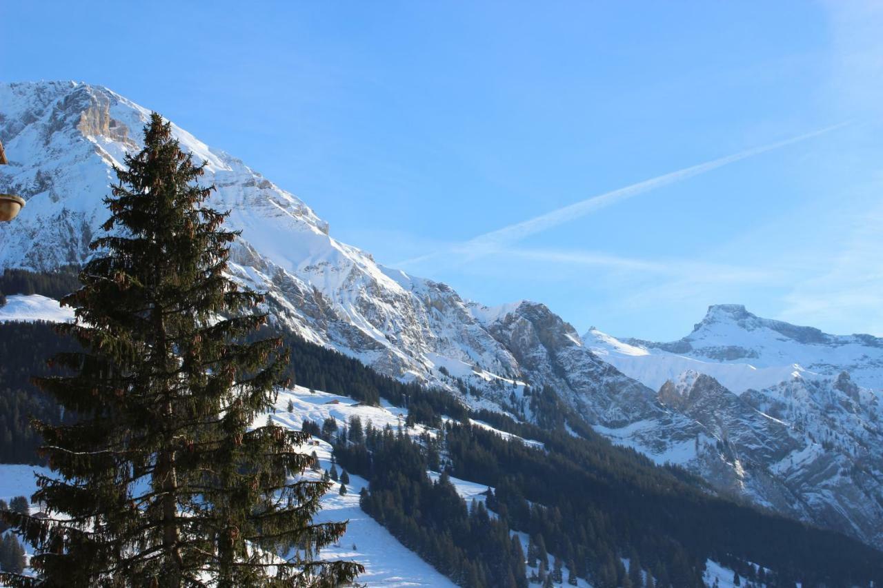 The Engstligen Apartment Adelboden Exterior photo
