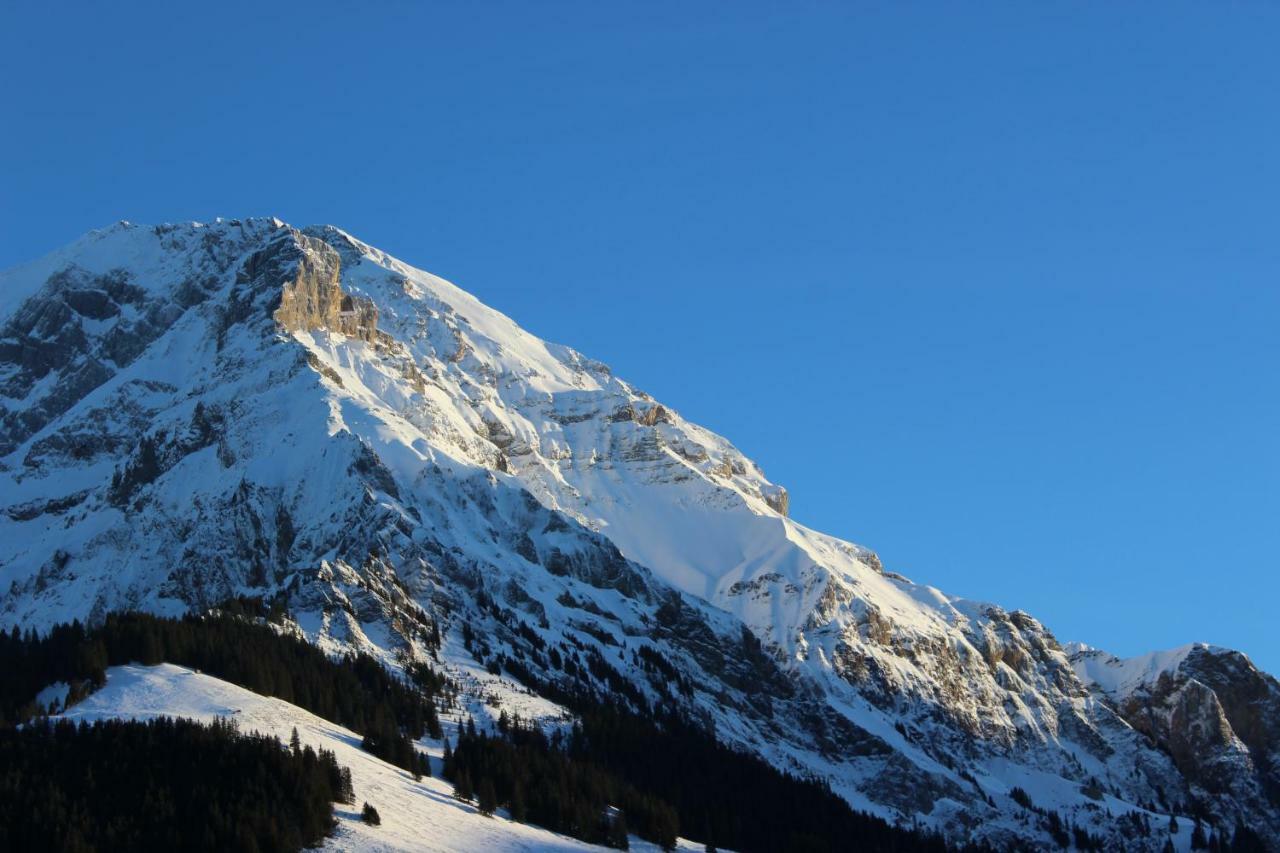 The Engstligen Apartment Adelboden Exterior photo